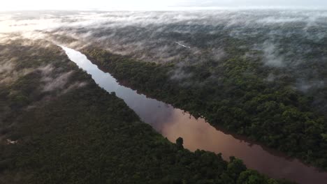 Luftaufnahme-Eines-Flusses,-Der-Sich-Seinen-Weg-Durch-Den-Amazonas-Regenwald-Bahnt