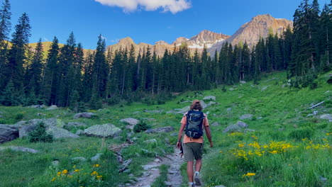 Cinematic-aerial-people-hiking-with-dog-alpine-sunset-at-Blue-Lakes-Colorado-Mount-Sniffels-Dallas-Peaks-Wilderness-snow-14er-peak-purple-wildflowers-Ridgway-Telluride-Ouray-Silverton-hike-slow-follow