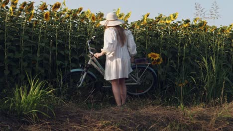 Una-Chica-Vestida-De-Blanco-Empuja-Una-Bicicleta-Contra-Girasoles-Rurales-Con-Brillo-Dorado