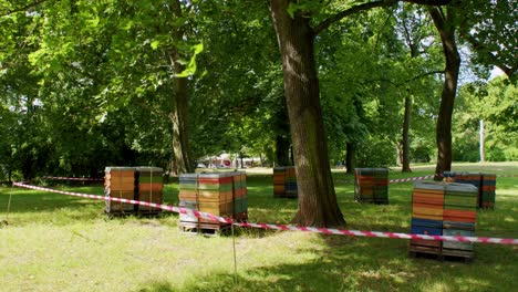 Bienenstöcke-In-Einem-Stadtpark-In-Totalaufnahme
