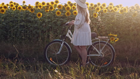 Niña-Vestido-Blanco-Con-Bicicleta-En-El-Campo-De-Girasoles-En-La-Hora-Dorada-Diapositiva-En-Cámara-Lenta