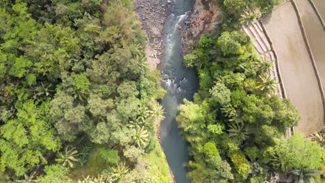 Blick-Von-Oben-Auf-Flussufer-Mit-Türkisfarbenem-Wasser-Und-Umgeben-Von-Bäumen-Und-Reisfeldern-–-4K-Drohnenaufnahme
