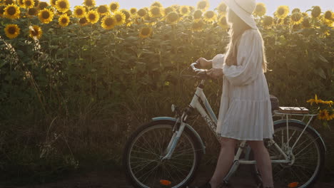 Chica-Vestido-Blanco-Con-Bicicleta-En-Luz-Dorada-De-Girasoles-Serie-De-Disparos-En-Cámara-Lenta