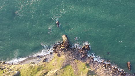 Drone-shot-rising-up-from-a-rocky-coastal-scene,-with-ocean-waves-crashing-into-rocks-on-the-North-Devon-coast-,-UK