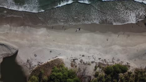 Relaxing-drone-footage-rises-up-over-the-coast-with-people-walking-in-the-sand-and-waves-crash-in,-Costa-Rica