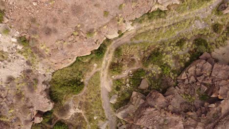 Dried-riverbed,-Tenerife,-aerial-top-down