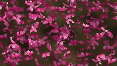 Herbstrosa-Blätter-Windiger-Hintergrund-Looptile