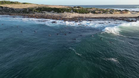 Aerial-orbiting-shot-showing-group-of-Surfer-on-surfing-on-ocean-water-near-coastline-of-Gracetown-in-Australia