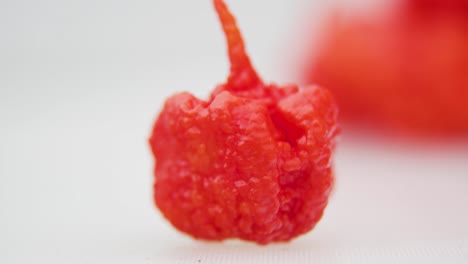 A-Vertical-Shot-Of-A-Fresh-Red-Carolina-Reaper-Chili-Pepper-On-A-White-Surface