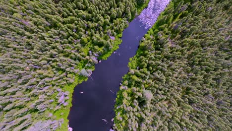 Overhead-Aerial-Scan-of-a-Remote-Canadian-Stream-Amidst-Scenic-Beauty
