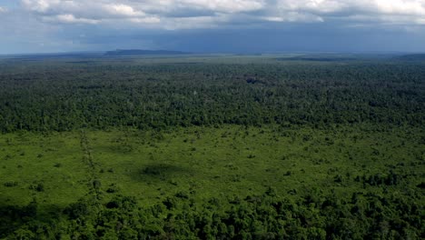 Panoramablick-Auf-Den-Dschungel-Von-Borneo-In-Malaysia-Bei-Stürmischem-Wetter-Mit-Gewitter-Und-Blitz-Am-Horizont