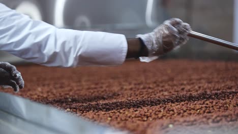 Selective-focus,-close-up-scene,-in-a-peanut-butter-factory-an-operator-is-turning-raw-best-quality-peanut-kernels-through-equipment-heated-to-high-degree-Celsius