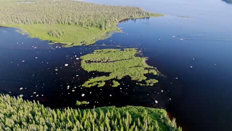 Hochfliegende-Drohnenaufnahmen-Zeigen-Eine-üppige-Insel-In-Einem-Abgelegenen-Kanadischen-See