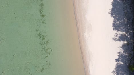 Sandy-shoreline-of-crystal-clear-lake-in-Michigan,-aerial-top-down-descend-view