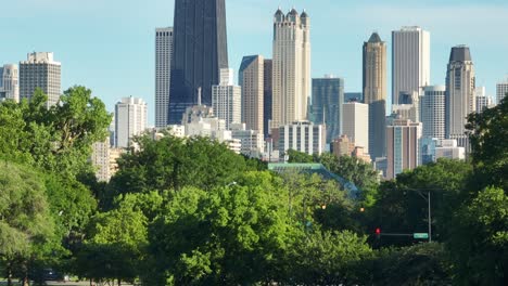 Horizonte-De-Chicago-Visto-Desde-El-Parque-Lincoln