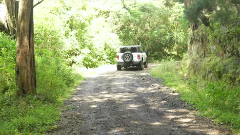 Vehículo-Todo-Terreno,-Ford-Bronco-En-Las-Montañas,-Bronco-Moderno,-4wd,-4x4