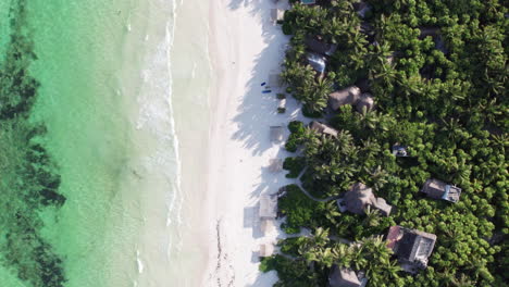 Aerial-Top-Down-shot-of-rolling-waves-on-a-white-sandy-beach-with-crystal-clear-ocean-and-cabins-and-huts-surrounded-by-palm-trees-in-Tulum,-Mexico