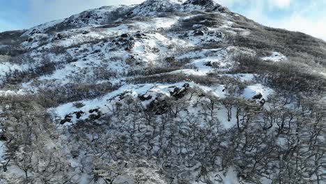 Drohnenstart-Im-Schneebedeckten-Wald-In-Patagonien
