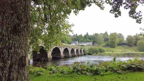 View-from-under-a-oak-tree-of-the-River-Nore-Kilkenny-Ireland