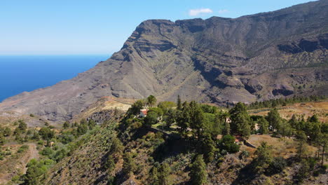 Tirma-Natural-Park,-Gran-Canaria:-aerial-view-in-orbit-over-a-group-of-trees-and-seeing-the-ocean-and-the-great-mountains