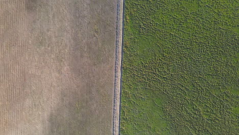 Aerial-view-of-green-versus-empty-field