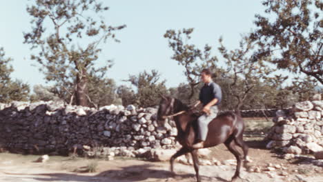 Granjeros-Con-Caballos-Trasladando-Vacas-En-Italia,-Imágenes-De-Los-Años-60.