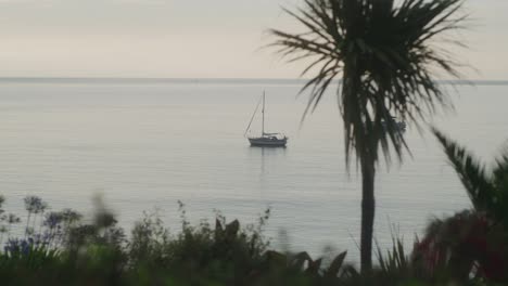 Shot-of-boat-on-the-sea-in-the-morning-light-with-palm-trees-in-foreground
