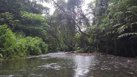 Toma-Inclinada-De-Un-Pequeño-Río-Dentro-De-Una-Selva-Tropical,-Filmada-En-Sumatra,-Indonesia