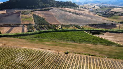 Aerial-landscape-view-over-many-vineyard-rows,-in-the-hills-of-Tuscany,-in-the-italian-countryside,-on-a-sunny-day