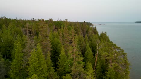 Aerial-view-over-trees-to-lake-shoreline-at-dusk,-Michigan