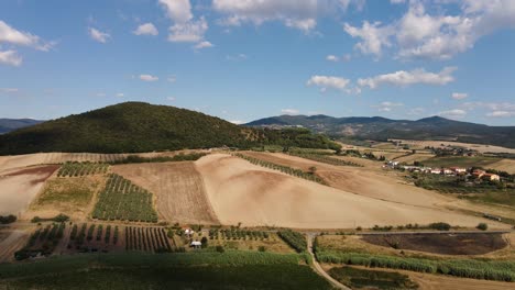 Aerial-panoramic-landscape-view-of-vineyard-rows,-in-the-hills-of-Tuscany,-in-the-italian-countryside,-on-a-bright-sunny-day