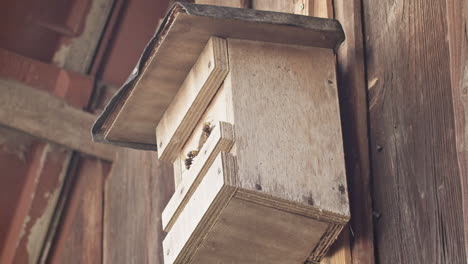 Close-up-shot-of-a-birdhouse-with-hornets-at-the-entrance,-one-hornet-starting-to-gather-food