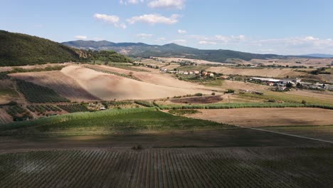 Aerial-panoramic-landscape-view-of-vineyard-rows,-in-the-hills-of-Tuscany,-in-the-italian-countryside,-on-a-summer-day