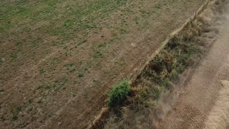 Eine-Filmische-4K-Drohnenaufnahme-Eines-Mähdreschers,-Der-Ein-Maisfeld-In-Frankreich-Erntet,-Und-Zeigt-Die-Landwirtschaft-Mit-Einer-Epischen-Aussicht-Und-Dramatischem-Staub