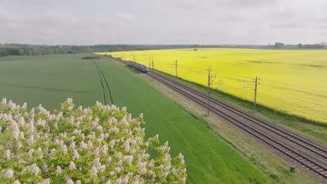 Small-blue-train-travels-fast-through-scenic-countryside-with-rapeseed-oil-field