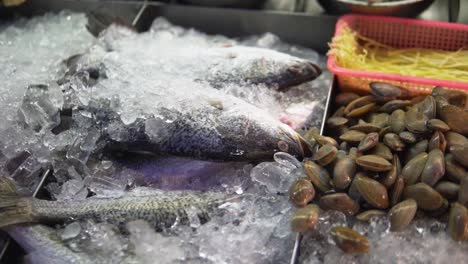 Frische-Meeresfrüchte-„Fang-Des-Tages“-Auf-Eisschalen