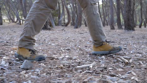 Slow-motion-low-angle-shot-of-a-man's-boots-walking-through-a-wooded-area-over-sticks
