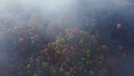 Nebel-über-Buntem-Herbstwald-In-Huesca