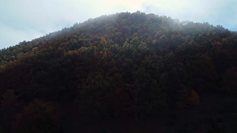 Nebel-über-Buntem-Herbstwald-In-Huesca