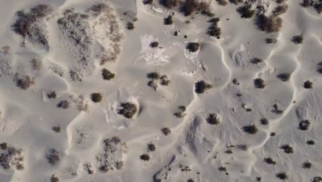 Scenic-sand-dunes-on-sunny-day-in-desert