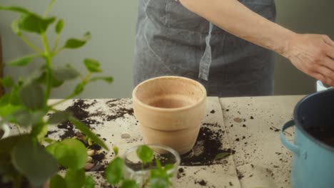 Crop-female-gardener-putting-clay-pebbles-into-pot