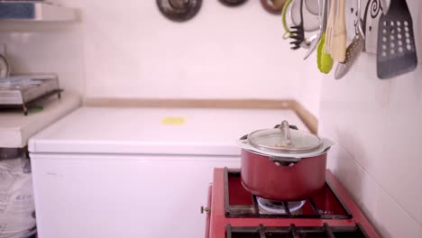 Mature-Hispanic-woman-cooking-food-in-saucepan-on-stove