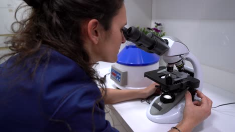 Veterinarian-using-microscope-at-table-in-laboratory
