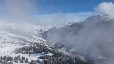 Verschneiter-Nadelwald,-Der-Im-Winter-In-Bergigem-Gelände-Wächst