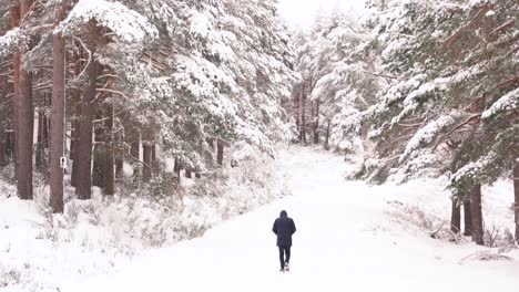 Man-walking-between-bare-trees-in-winter-nature