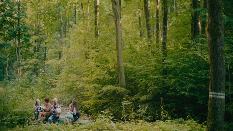 Friends-Sitting-Amidst-Green-Lush-Trees-In-Forest