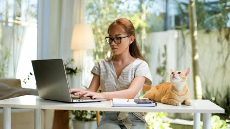 Mujer-Trabajando-En-Una-Computadora-Portátil-Con-Un-Gato