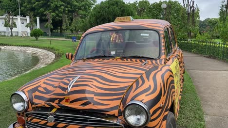 Primer-Plano-De-Un-Taxi-Amarillo-Con-Rayas-Negras-Que-Anuncia-La-Conservación-Del-Tigre,-Estacionado-A-Lo-Largo-De-Un-Lago-Rodeado-De-Vegetación-Verde-En-Kolkata,-India