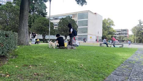 Mascotas-Relajándose-En-El-Parque,-Un-Día-Tranquilo,-En-Cámara-Lenta