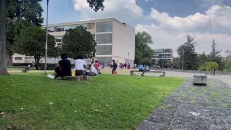 Perros-Pasando-Un-Buen-Rato-Bajo-El-Sol-En-Ciudad-Universitaria,-Ciudad-De-México